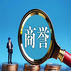 无形资产评估(图5)