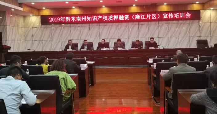 中都国脉助力黔东南州知产质押融资发展(图1) 中都国脉助力黔东南州知产质押融资发展(图1)