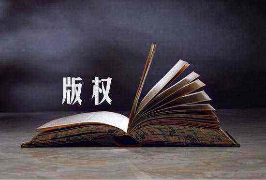 无形资产的主要类别(图2) 版权评估